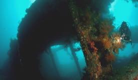 Dive-Tulamben-08.jpg