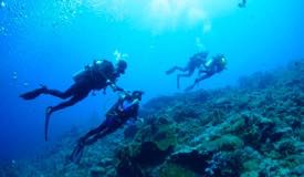 divewonderfulindonesia001.jpg