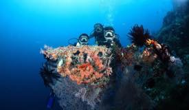 divewonderfulindonesia034.jpg