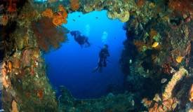 divewonderfulindonesia043.jpg