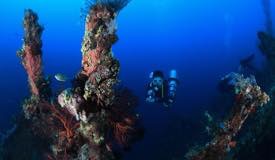 divewonderfulindonesia058.jpg