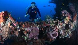 divewonderfulindonesia076.jpg