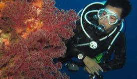 divewonderfulindonesia077.jpg