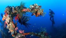 divewonderfulindonesia086.jpg