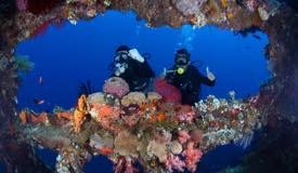 divewonderfulindonesia098.jpg