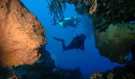 divewonderfulindonesia1104.jpg