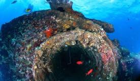 divewonderfulindonesia1227.jpg