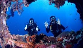 divewonderfulindonesia1232.jpg