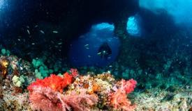 divewonderfulindonesia1297.jpg