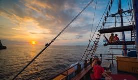 divewonderfulindonesia209.jpg
