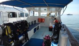 divewonderfulindonesia398.jpg