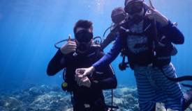 divewonderfulindonesia442.jpg