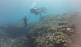 divewonderfulindonesia560.jpg