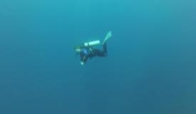 divewonderfulindonesia600.jpg