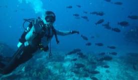 divewonderfulindonesia641.jpg