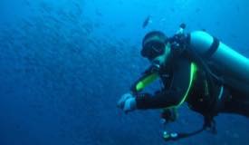 divewonderfulindonesia670.jpg