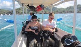 divewonderfulindonesia718.jpg