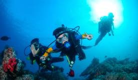 divewonderfulindonesia820.jpg