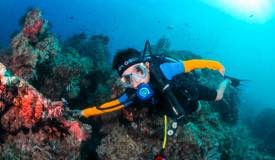 divewonderfulindonesia821.jpg